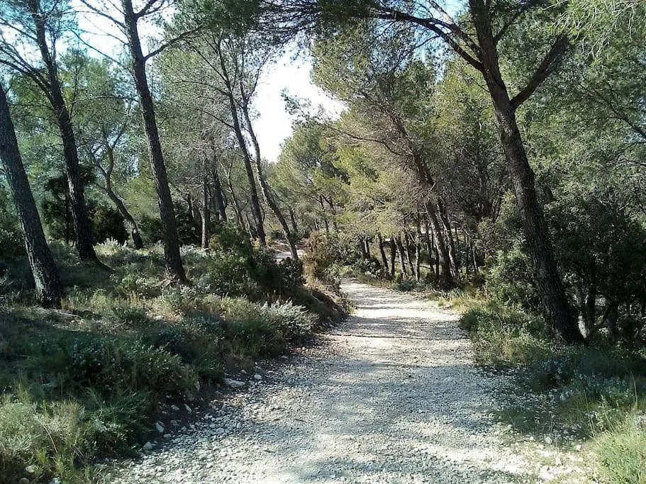 Single Storey 40M² Bordering Pine Forest And Spa Noves